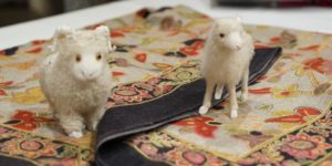 KCS gift box for various occasions